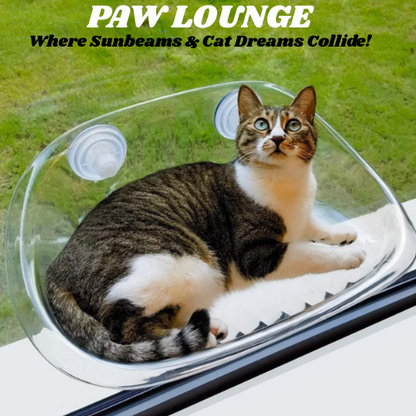 Paw Lounge